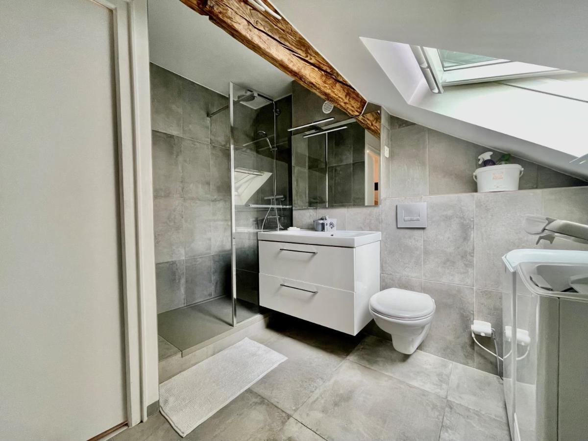 La Maison De Jade Apartment Gex Luaran gambar